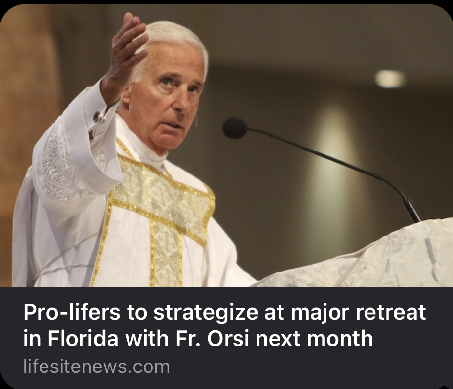 Via LifeSiteNews: Pro-lifers to strategize at major retreat in Florida with Fr. Orsi next month